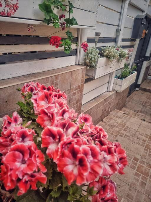 Appartement על קצה ההר à Yoqne'am Extérieur photo